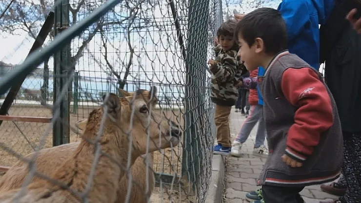 Depremzede çocuklara hayvanat bahçesi morali