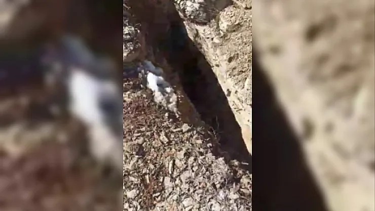 Metrelerce fay kırığı ortaya çıktı