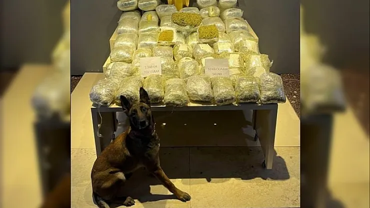 Yolcu otobüsünde 52 kilo uyuşturucu ele geçirildi