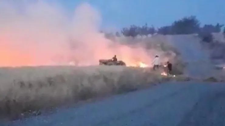 Arpa ekili tarlada korkutan yangın