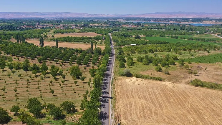 Alişar, Kemerköprü ve Serintepe'ye, yol ve su müjdesi