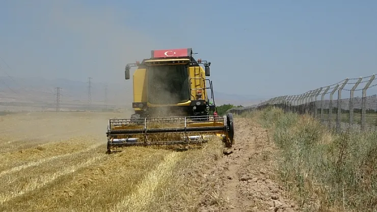 Arguvan'da buğday hasadında sona gelindi