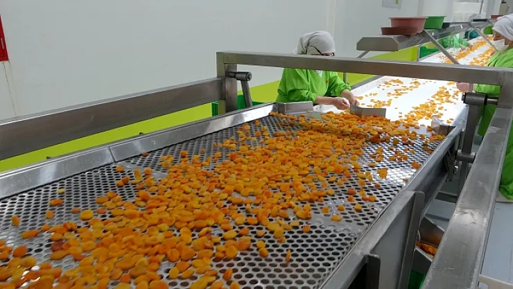 Özcan'dan meyve suyu üretimi yapan firmalara uyarı