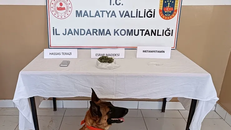 Jandarmadan zehir tacirlerine büyük darbe