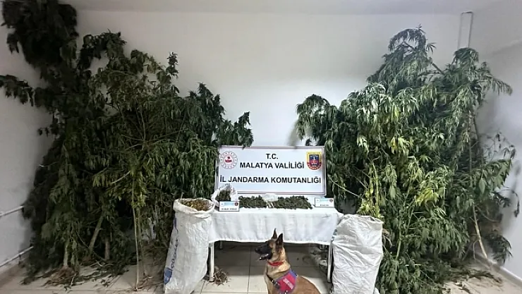 Malatya'da zehir tacirlerine büyük darbe: 2 tutuklama