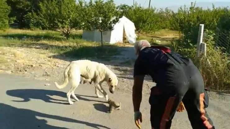 Yavrusu kurtarılana kadar başında bekledi