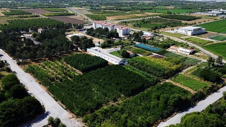 Battalgazi Belediyesi'nin tasarrufları takdir topladı