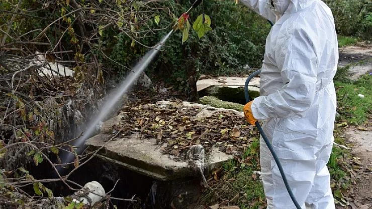Konteyner kentlerde ilaçlama çalışmaları yoğunlaştı