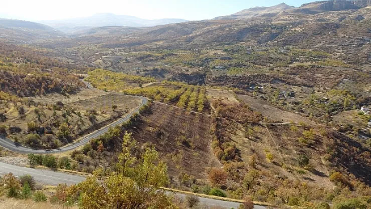 Levent Vadisi sonbaharda göz kamaştırıyor