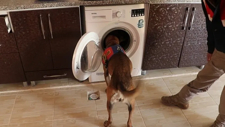 Malatya'da zehir tacirlerine 'Narkogüç' operasyonu