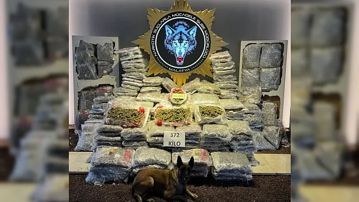 Malatya'da 372 kilo skunk ele geçirildi