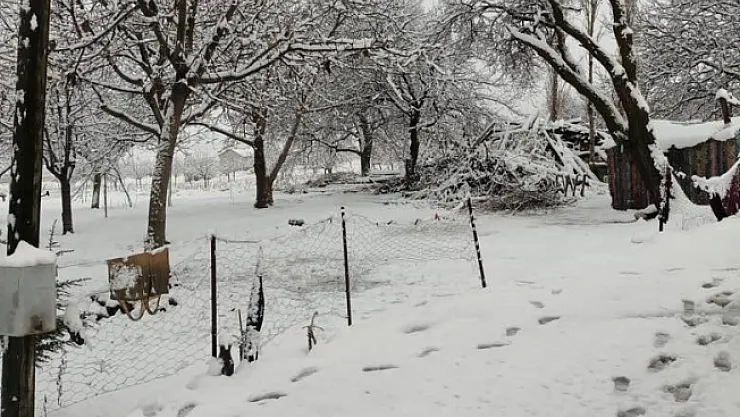 Malatya'ya ilk kar yağdı