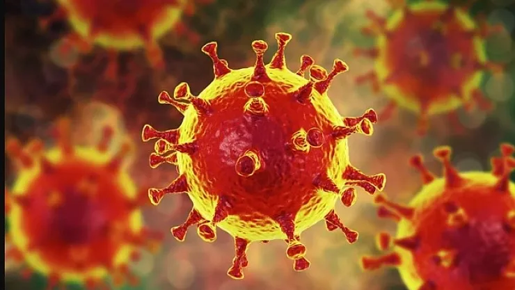 3 virüs Türkiye'yi vurdu! Bakan Koca ve Prof. Dr. Ateş Kara açıkladı!