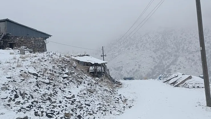 Malatya'da kar yağışı etkili oluyor