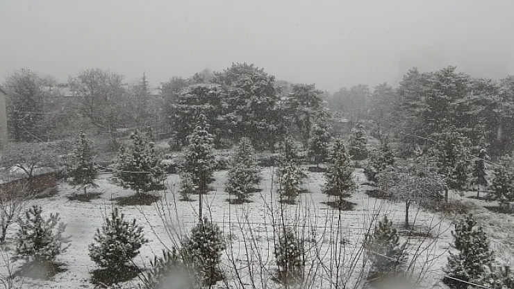 Malatya'da kar yağışı etkili oluyor