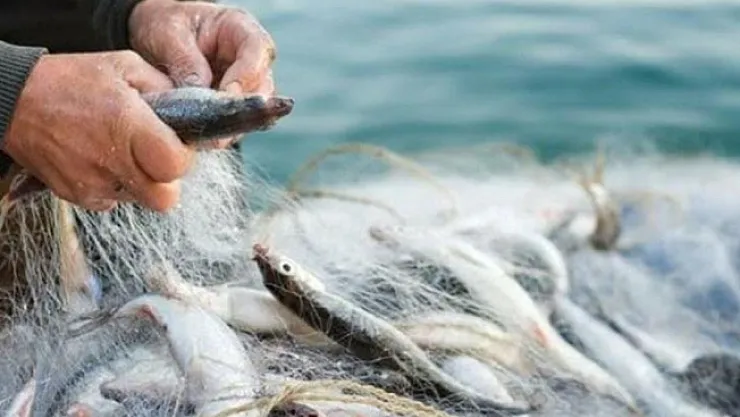 Denizlerde av yasağı başladı