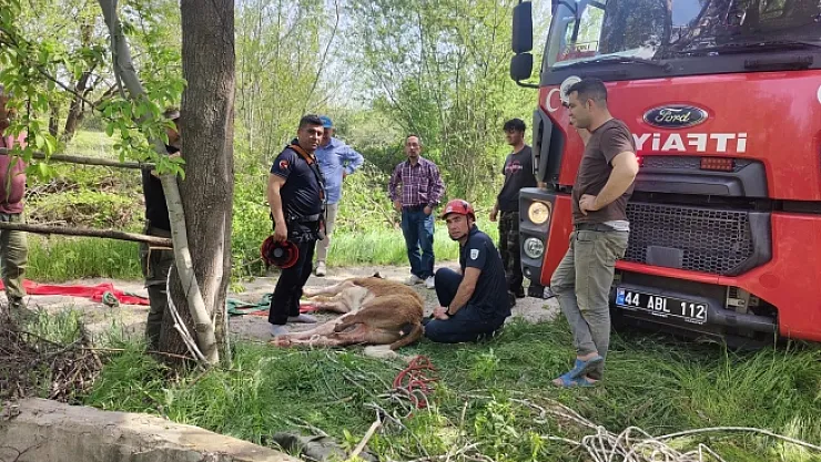 Kuyuya düşen ineği itfaiye kurtardı