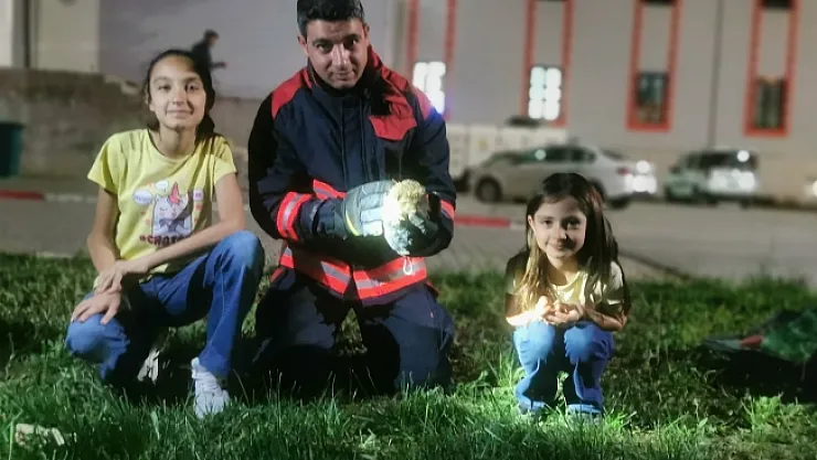 Rögar borusuna düşen kirpiler kurtarıldı