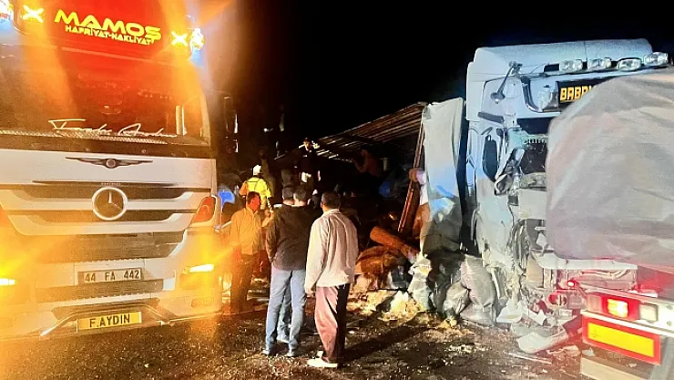 Malatya'da yem yüklü TIR devrildi