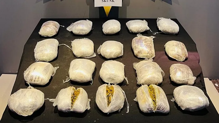 Yolcu otobüsünde 13 kilogram skunk ele geçirildi