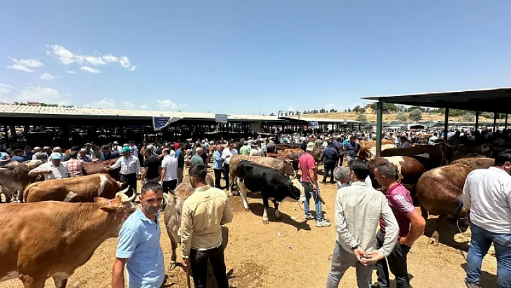 Canlı hayvan pazarında yoğunluk yaşanıyor