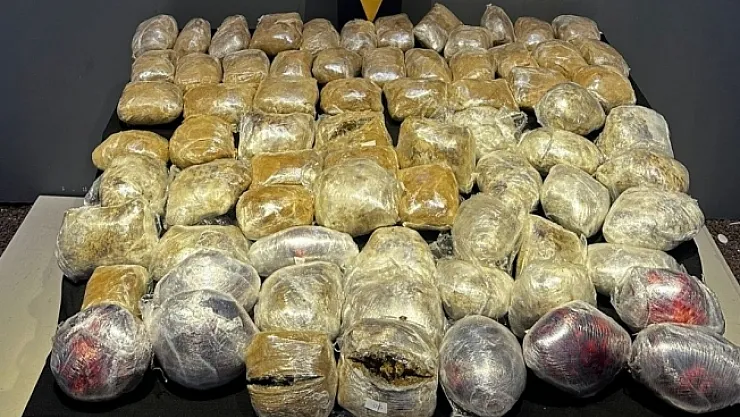 Malatya'da 44 kilogram skunk ele geçirildi