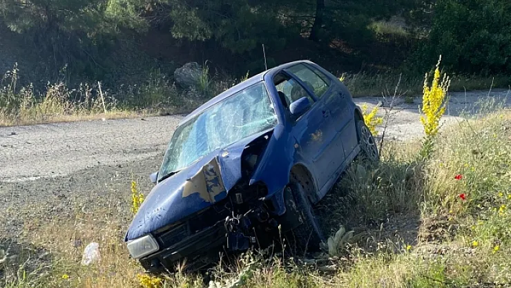 Malatya'da otomobil şarampole uçtu, 1 yaralı