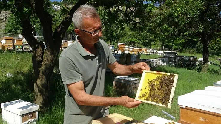 Malatya'da arıcılar hasat için gün sayıyor