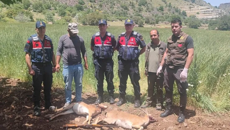 Yaban keçisi avına 613 bin 980 TL ceza