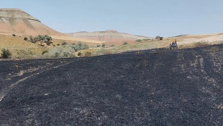 Yangın badem ve fıstık ağaçlarına zarar verdi