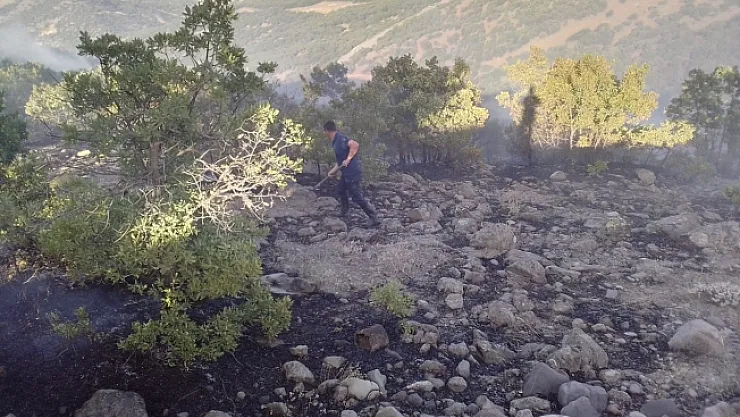 Arguvan'da ormanlık alanda yangın