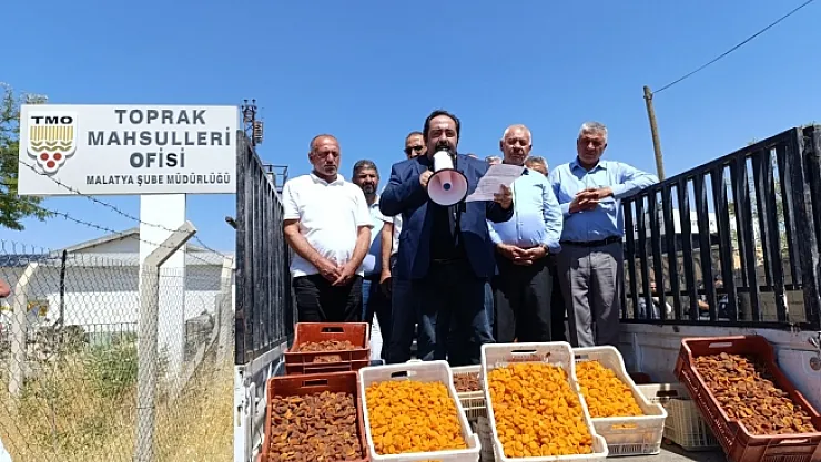 CHP'li Yıldız, TMO önünde kayısı sattı