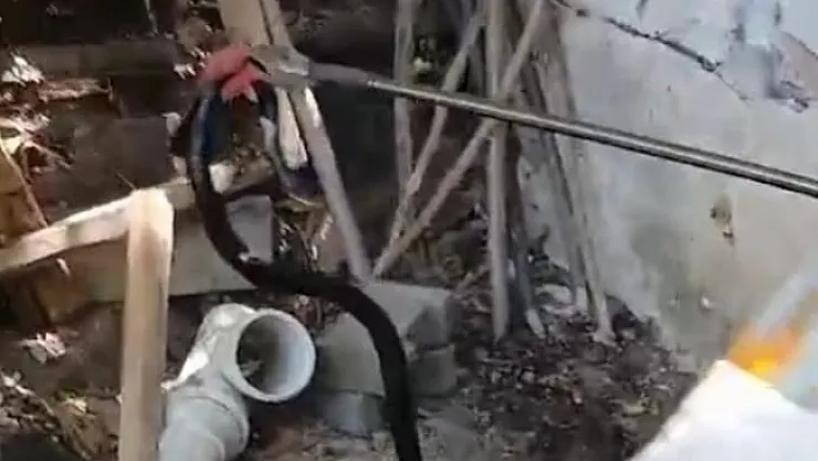 Evin bahçesinde 1,5 metre yılan paniği!