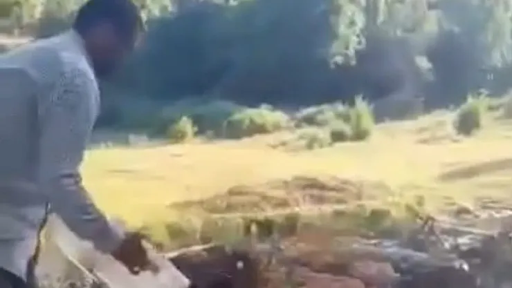 Kasalar dolusu kayısıyı dereye döktü