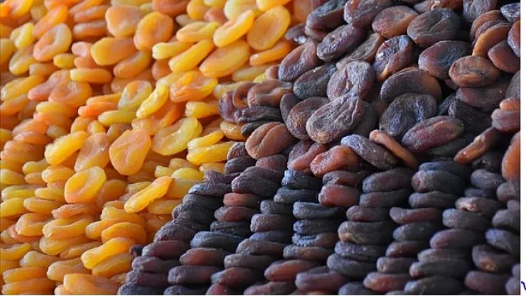 Kayısının fiyatı düşüyor! Üretici ve esnaf tedirgin!