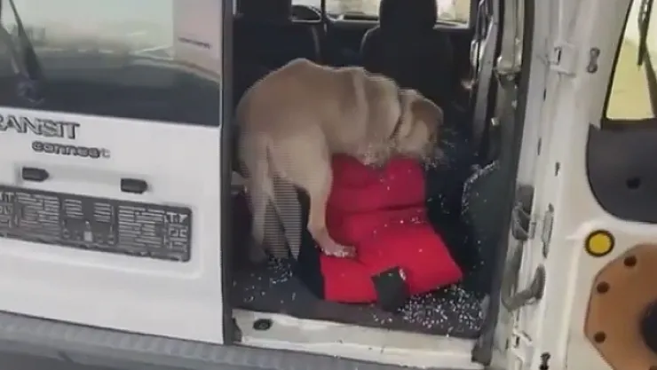 Malatya yolunda 10 kilo uyuşturucuyla yakalandı