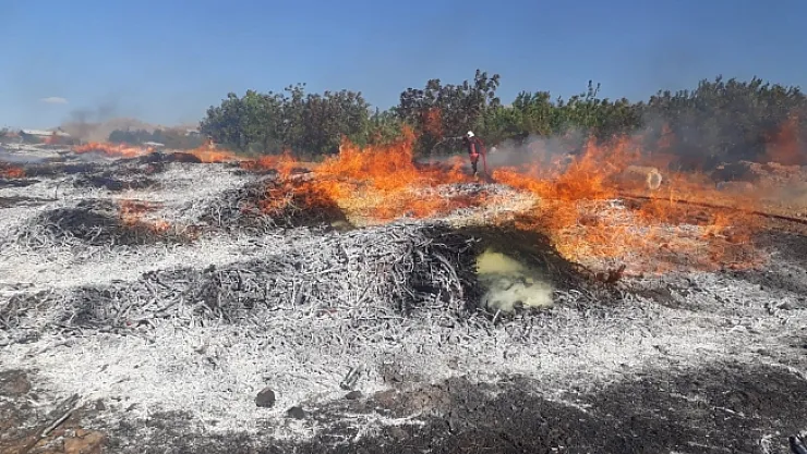 Malatya'da iki ayrı noktada çıkan yangın korkuttu