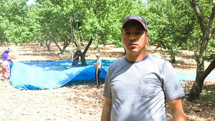 Malatyalı kayısı üreticisinin okuma azmi!