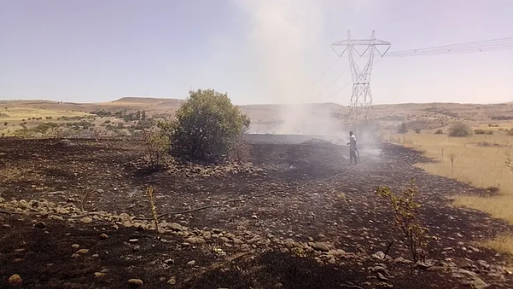 Arguvan'da çıkan yangın meyve ağaçlarına zarar verdi