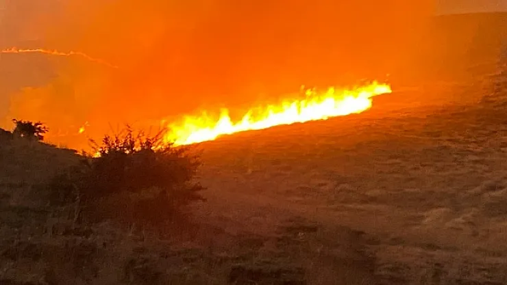 Malatya'da yüzlerce dönüm alanda anız yangını