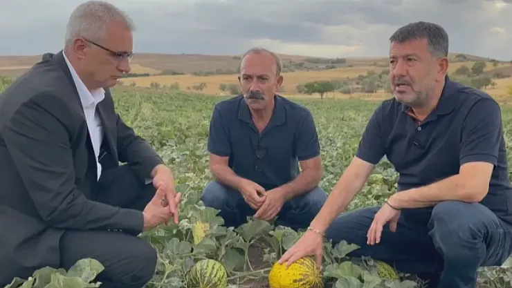 Ağbaba: Malatya tarımı çökmüş durumda