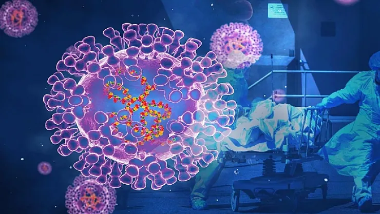 "İstanbul'da maymun çiçeği görüldü" iddialarına açıklama