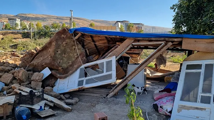 Bu kadarına pes! Haber vermeden yıkım! Kediler enkaz altında kaldı