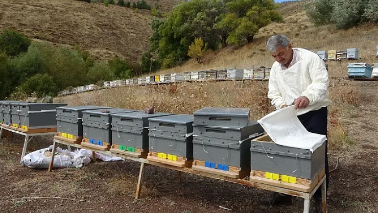 Malatya'da bal hasadı tamamlandı