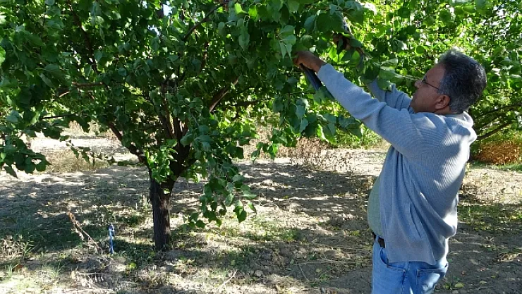 Malatya'da üreticiler için önemli uyarı!