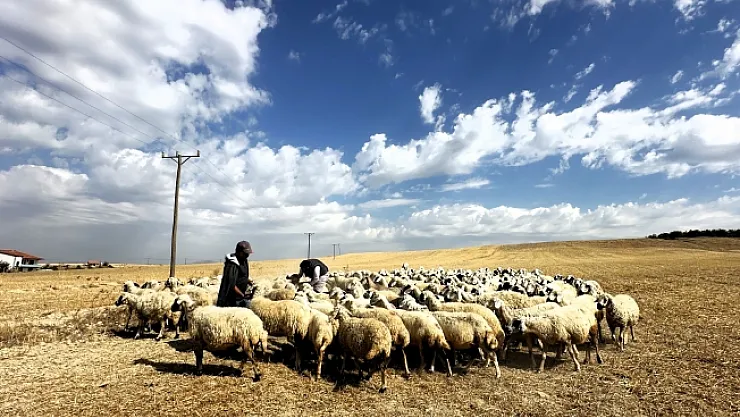 Yaylacıların zorlu dönüş yolculuğu başladı