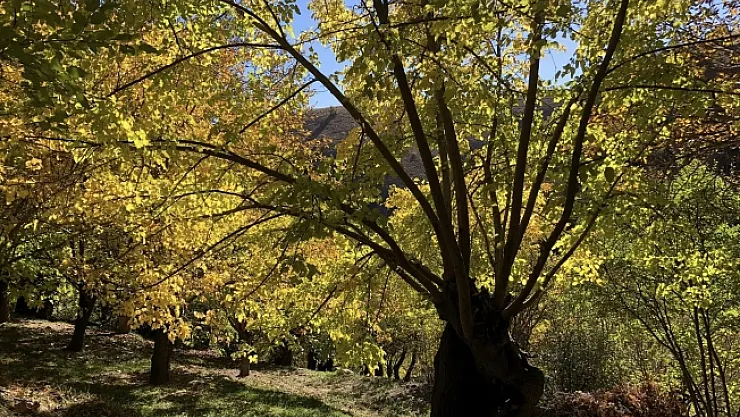 Arapgir ilçesi hayran bırakıyor