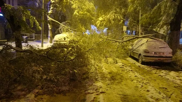 Kardan kırılan ağaç dalları araçların üzerine devrildi
