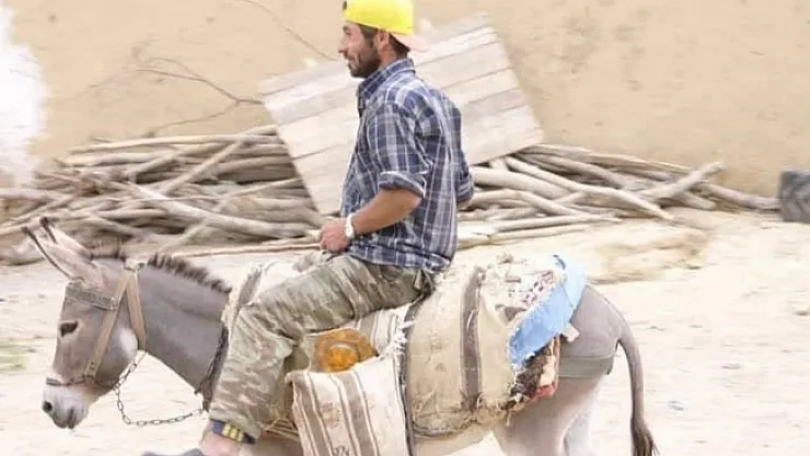 Malatya'da çobanın yürek burkan ölümü...