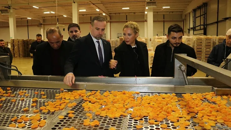 Kalifiye eleman yetiştirilmesi için iş birliği çağrısı